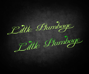 Logo Design by sunny for this project | Design: #1843737
