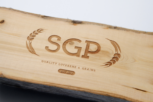 Logo Design by Maria Kuskova for STEEP GULLY PRODUCE | Design: #7109287