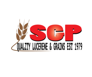 Logo Design by JesseKDesign