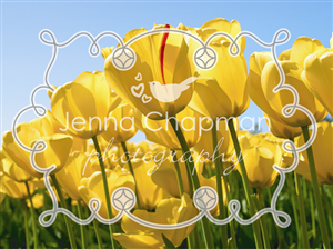 Logo Design by Elise Young for this project | Design: #371546