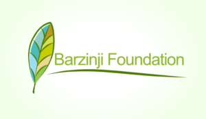 Logo Design by Joshua Ellis Enore for Barzinji Foundation | Design #7107764