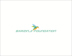 Logo Design by benettoo4 for Barzinji Foundation | Design #7206837