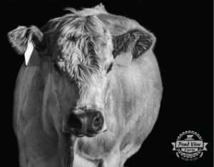 Logo Design by Anton for Pond View Farm Incorporated | Design: #7307415