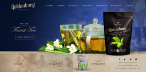 Web Design par Kritagyan