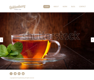 Web Design by GIRISH 