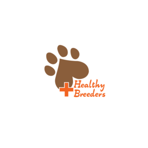 Logo Design by GV PROJECT