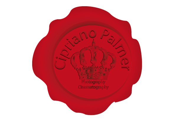 Logo Design by A DESIGN FOR YOU for Cipriano Palmer Photography | Design #394366