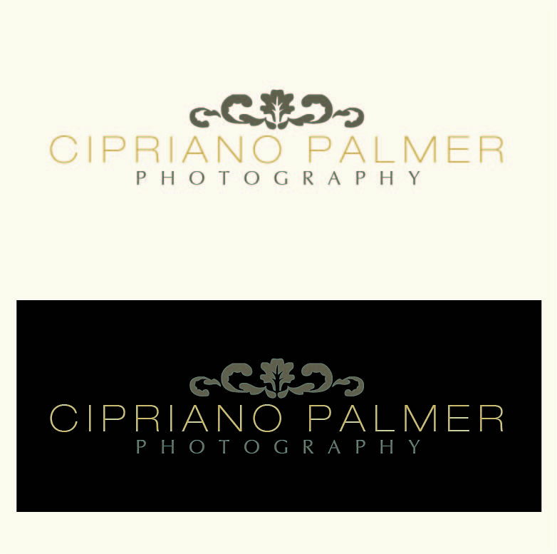 Logo Design by Design Possibilities for Cipriano Palmer Photography | Design #370491
