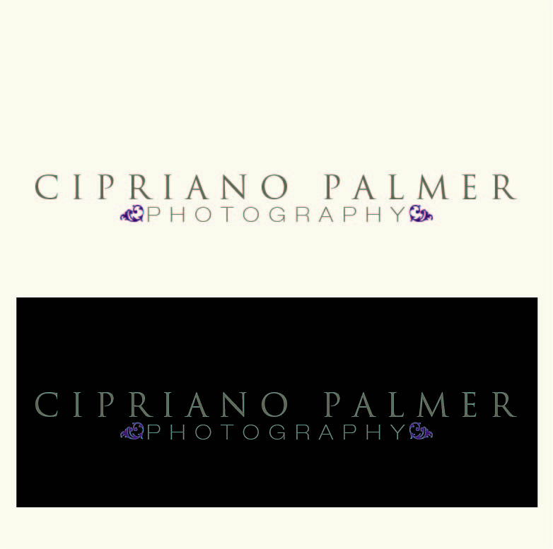 Logo Design by Design Possibilities for Cipriano Palmer Photography | Design #370498