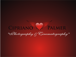 Logo Design by Blueberry
