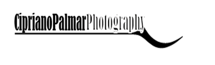 Logo-Design von jecika84 für Cipriano Palmer Photography | Design #371174