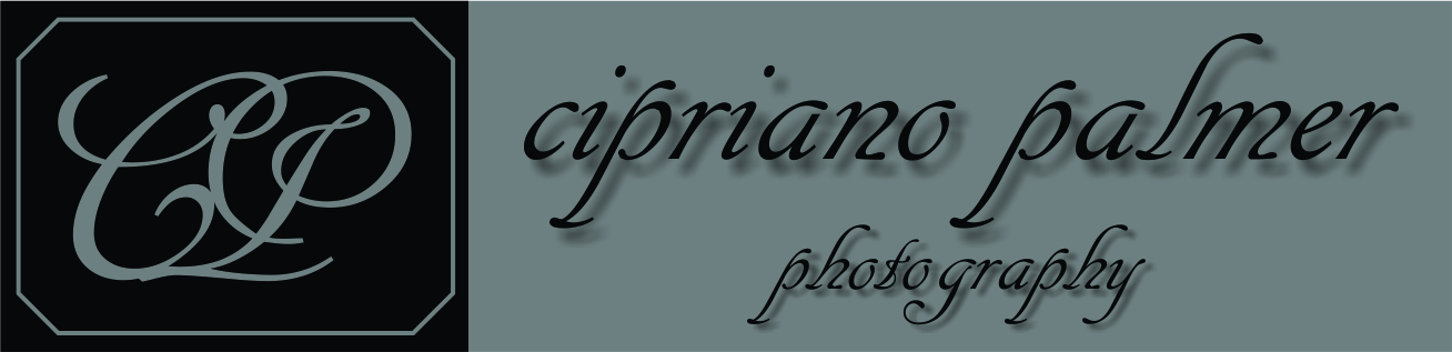 Logo Design by bionic babe for Cipriano Palmer Photography | Design #367588