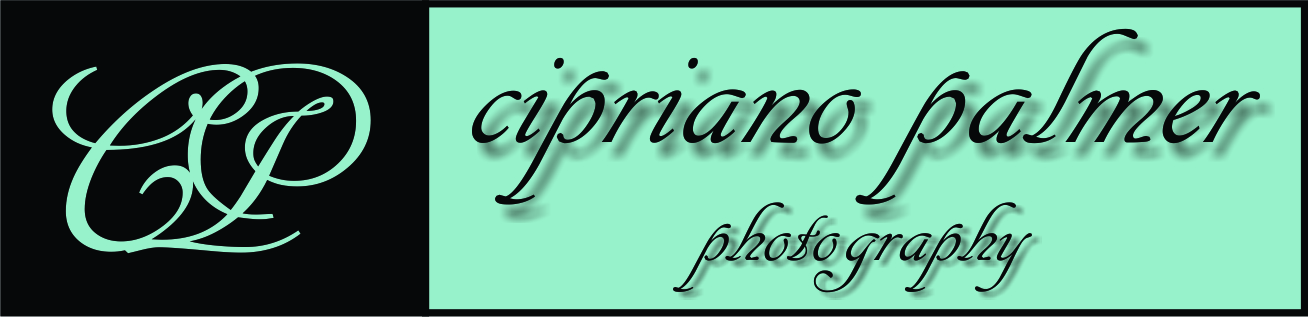 Logo Design by bionic babe for Cipriano Palmer Photography | Design #367599