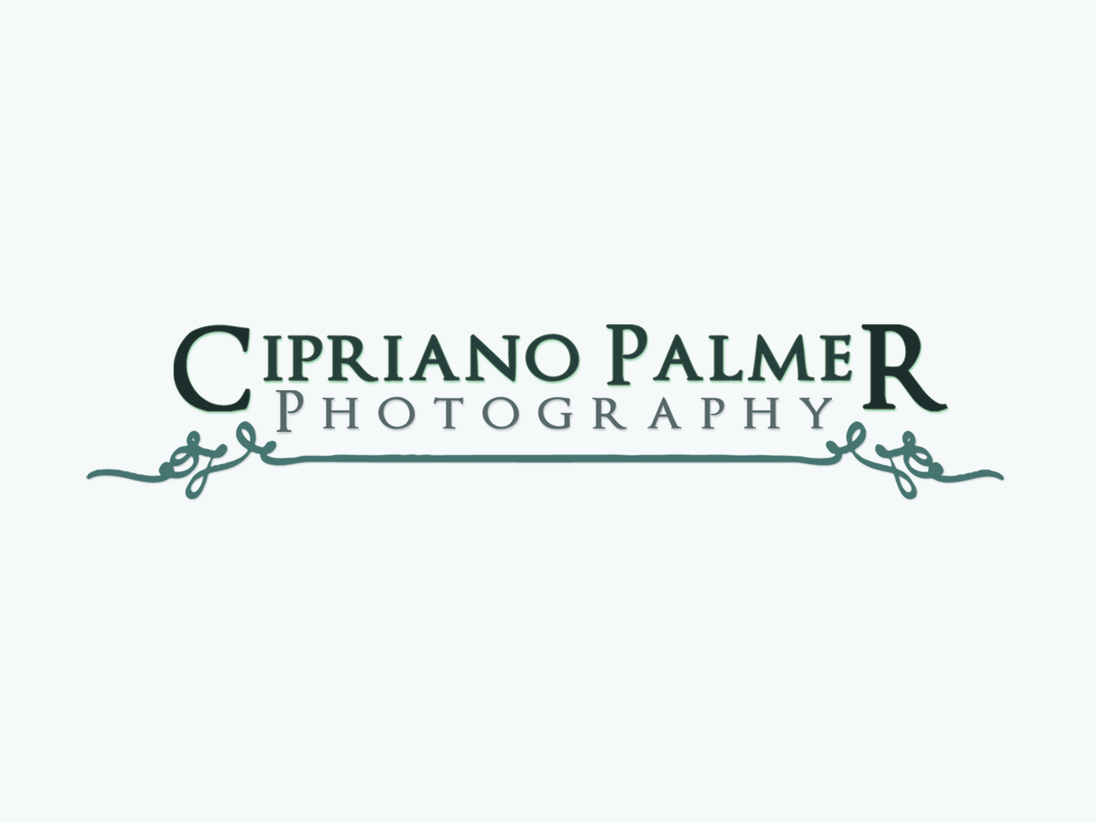 Logo Design by Metisign for Cipriano Palmer Photography | Design #369551