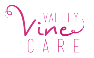 Logo Design by elasuaza