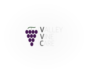 Logo Design by nischDesigns