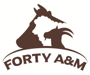 Logo Design by CHAN GRFX