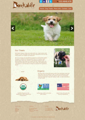 Web Design by ashish pathak