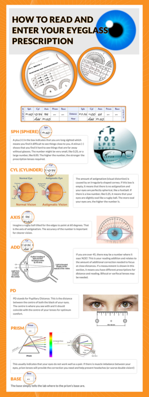 Infographic Design by Shine