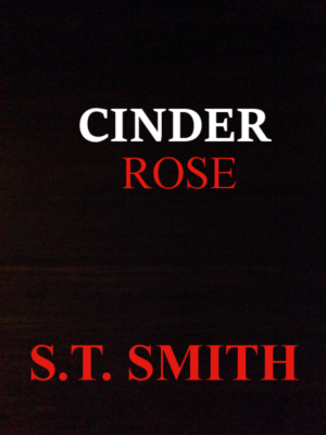 Diseño de portada de libro por alisonbegg34