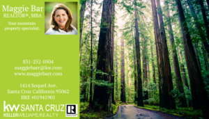 Business Card Design by Paracosmic Designs