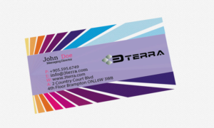 Diseño de Tarjeta de Presentación por syedtariq para este proyecto | Diseño: #7215755