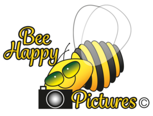 Logo Design by rj holl Art Directions