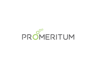 Logo Design by TheTigerStudio