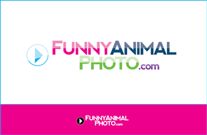 Logo Design by Sagew for this project | Design #1856650
