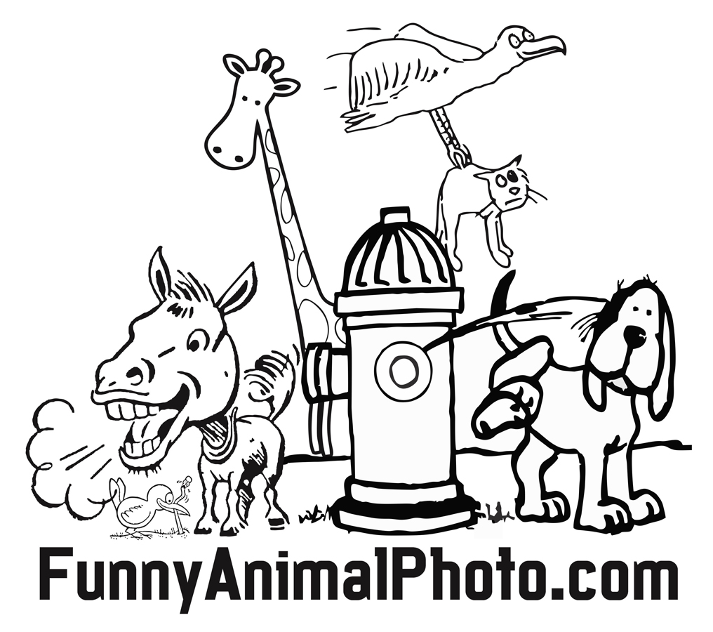 Logo Design by Eko Design for this project | Design #1841017