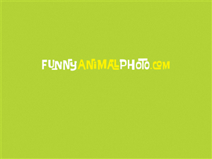 Logo Design by Sunshine for this project | Design: #1863174