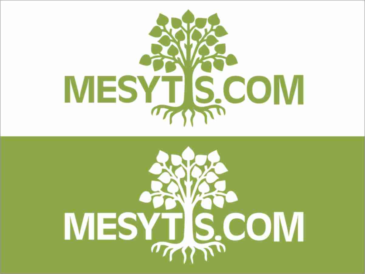 Logo Design by Jags for Mesitis Capital Pte Ltd | Design #1838721