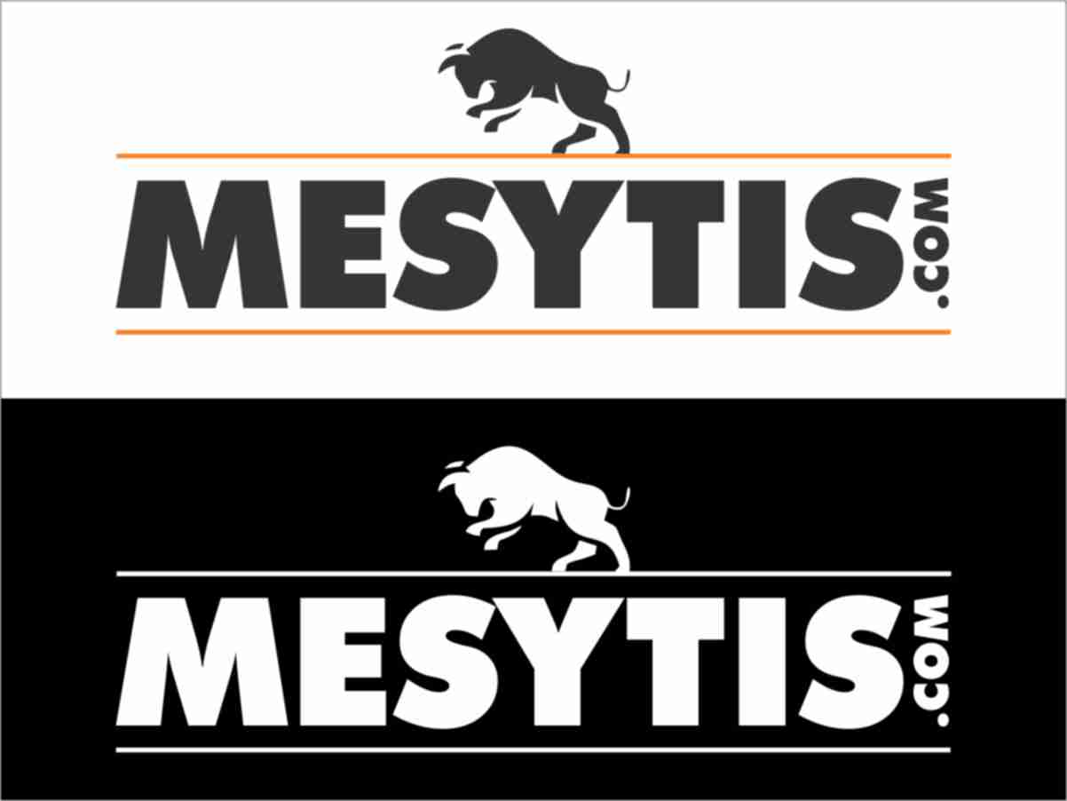 Logo Design by Jags for Mesitis Capital Pte Ltd | Design #1838742