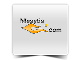 Logo Design by SpaceAnt for Mesitis Capital Pte Ltd | Design: #1825228