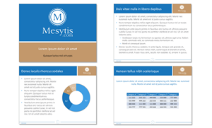 Logo Design by Carla T. for Mesitis Capital Pte Ltd | Design: #1828179
