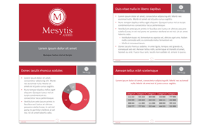 Logo Design by Carla T. for Mesitis Capital Pte Ltd | Design: #1828185