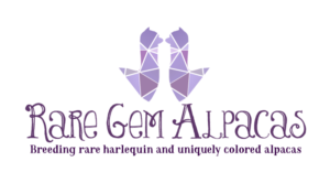 Diseño de Logo por CinnamonGirl para este proyecto | Diseño: #7258663