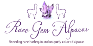 Diseño de Logo por CinnamonGirl para este proyecto | Diseño: #7267624