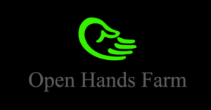 Logo Design by M.H.Shohel for this project | Design #7166055