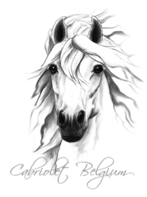 Design de Logo par fourdog123 pour ce projet | Design #7236616