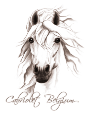 Design de Logo par fourdog123 pour ce projet | Design : #7236617