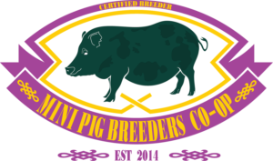 Logo Design by Ellison for this project | Design: #7212253