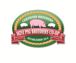 Logo Design by Hot Rod