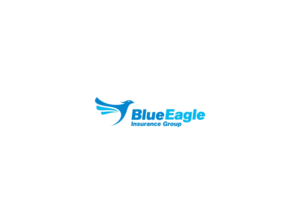 Logo Design by color designer for Blue Eagle Insurance Group | Design: #7223798