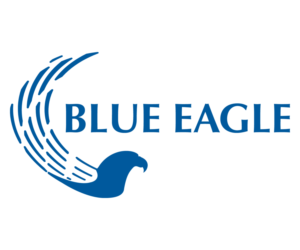 Logo Design by KatFace for Blue Eagle Insurance Group | Design: #7249044