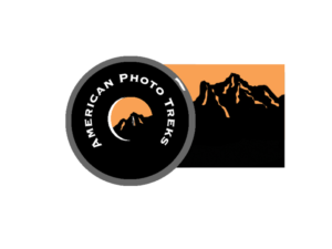 Logo Design by Gloria Wilkins