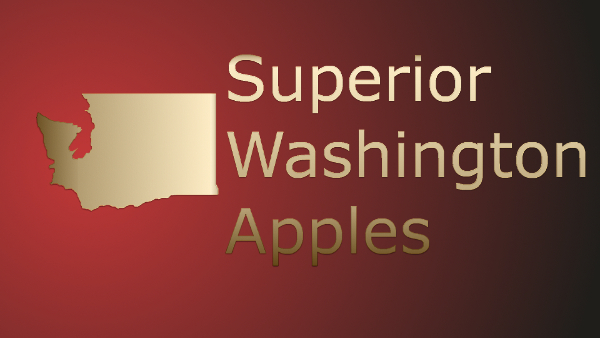 Logo Design by Savvy Design for Washington Export LLC | Design #380348