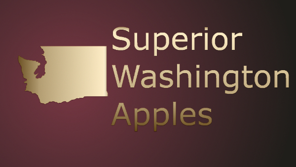 Logo Design by Savvy Design for Washington Export LLC | Design #380351