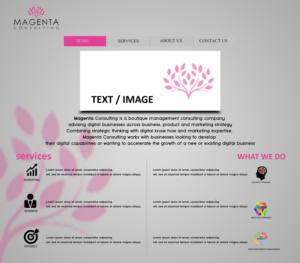 Wordpress Design by fusionfx for this project | Design: #7213271