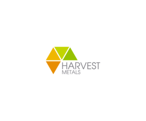 Logo Design by minivaza